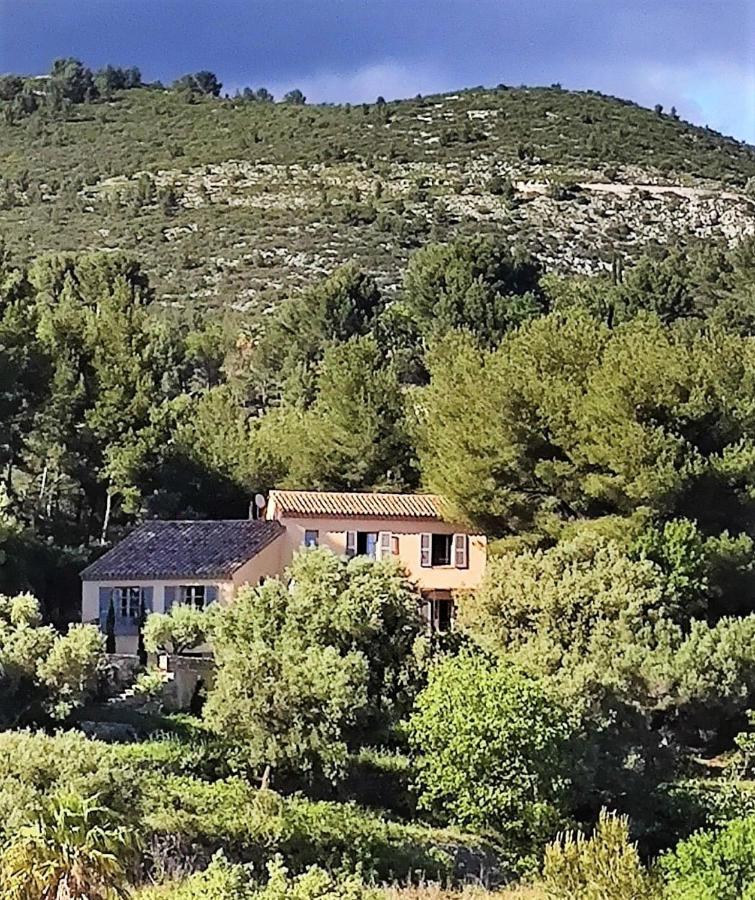 Villa Des Oliviers Sanary-sur-Mer Eksteriør bilde