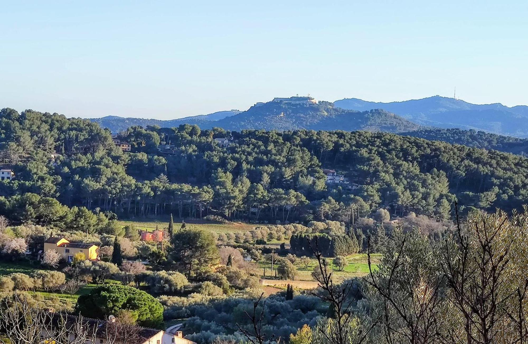 Villa Des Oliviers Sanary-sur-Mer Eksteriør bilde