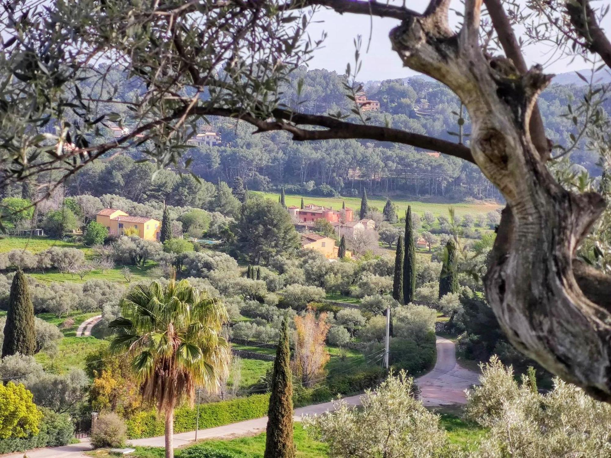 Villa Des Oliviers Sanary-sur-Mer Eksteriør bilde