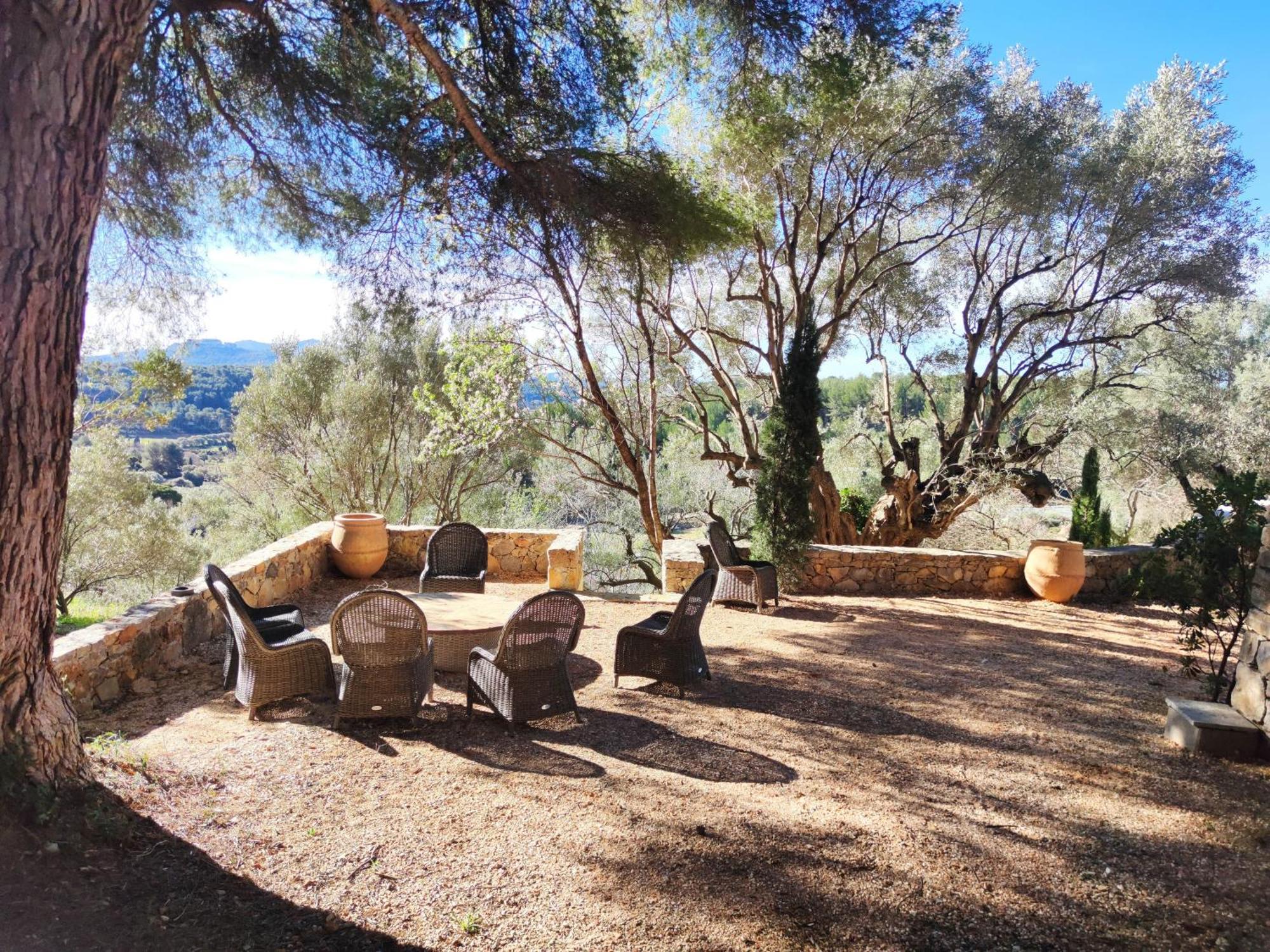 Villa Des Oliviers Sanary-sur-Mer Eksteriør bilde