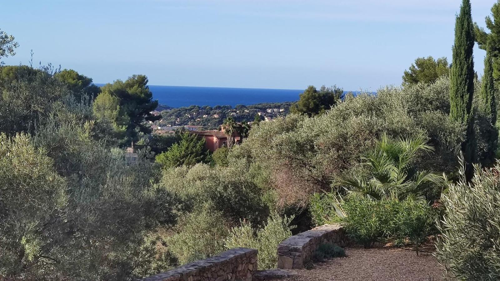Villa Des Oliviers Sanary-sur-Mer Eksteriør bilde